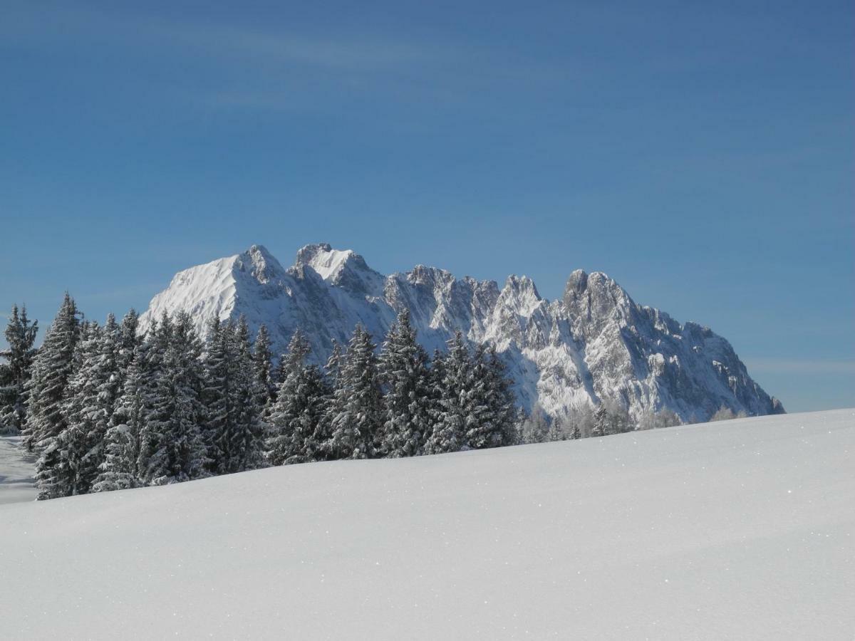Pure Mountain Base Apartamento Erpfendorf Exterior foto
